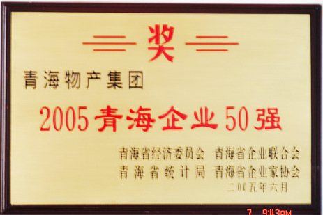 2005青海企業(yè)50強(qiáng)